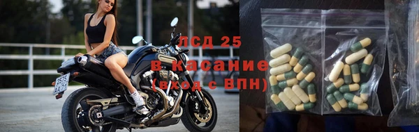 спиды Дмитров