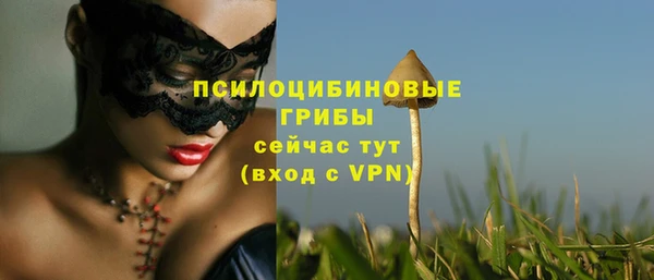 спиды Дмитров
