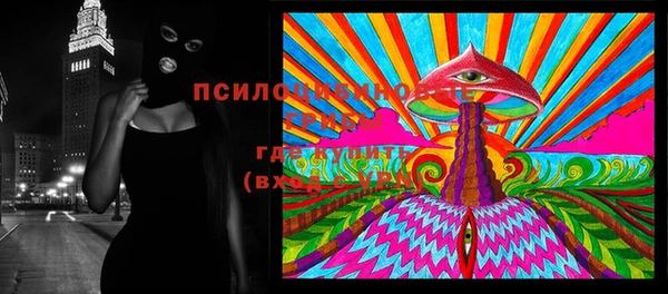 Альфа ПВП Елабуга