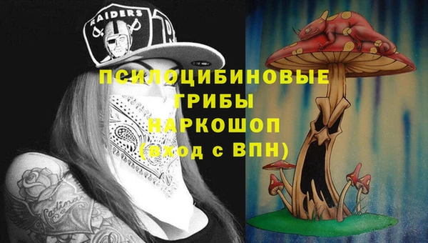 кокс Дмитровск