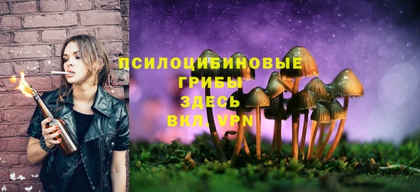 спиды Дмитров