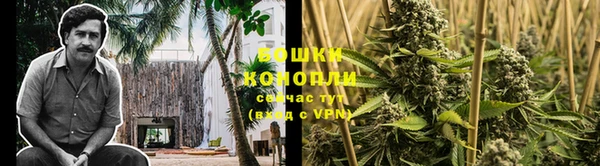 кокс Дмитровск